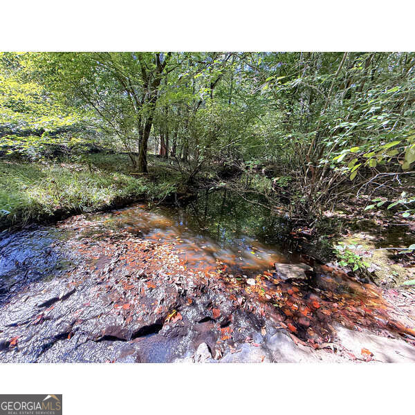 223 City Pond Road Property Photo 16