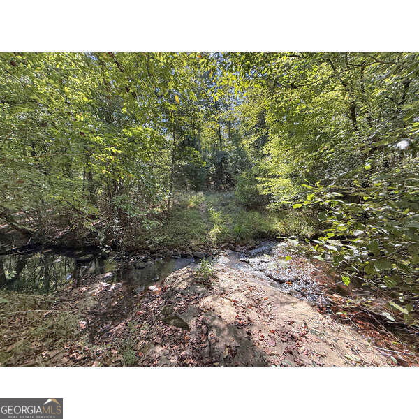 223 City Pond Road Property Photo 17