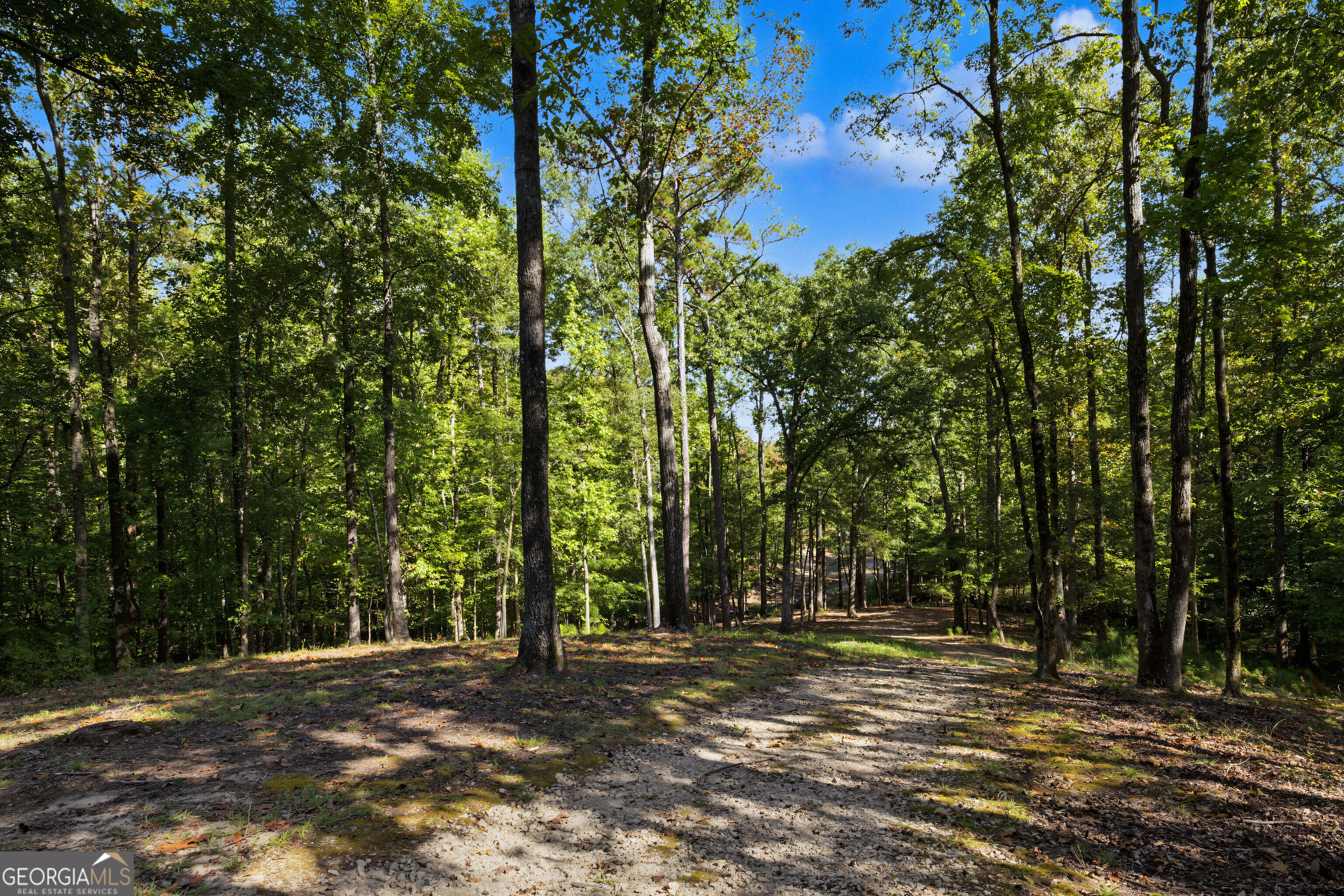 374 Ferrell Tatum Road Property Photo 53