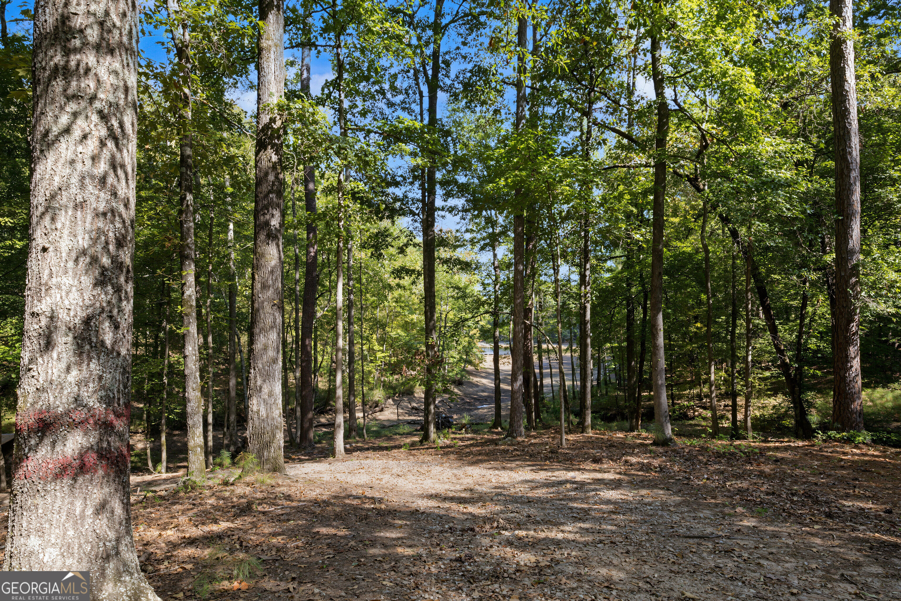 374 Ferrell Tatum Road Property Photo 62