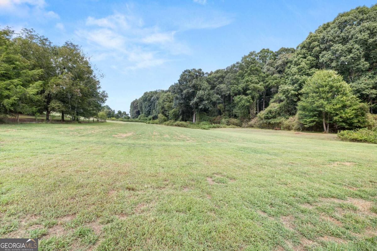 4597 Highway 334 Property Photo 28