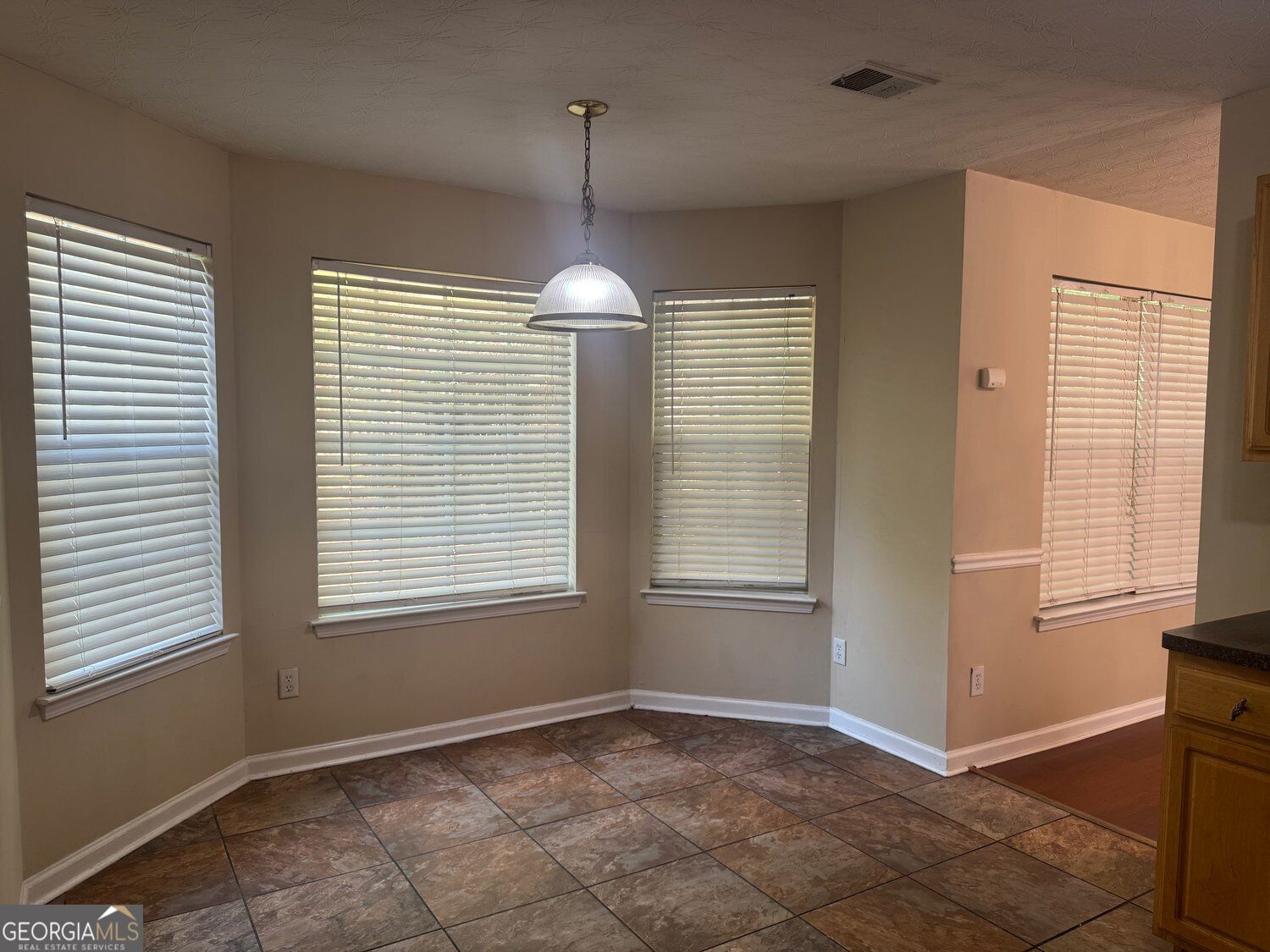 3229 Diamond Bluff Property Photo 6