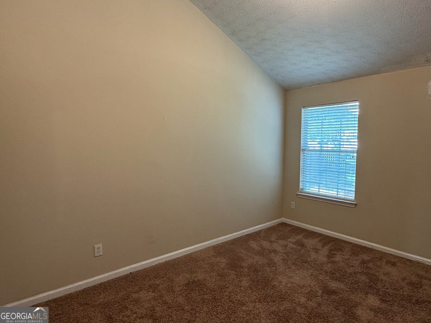 3229 Diamond Bluff Property Photo 12