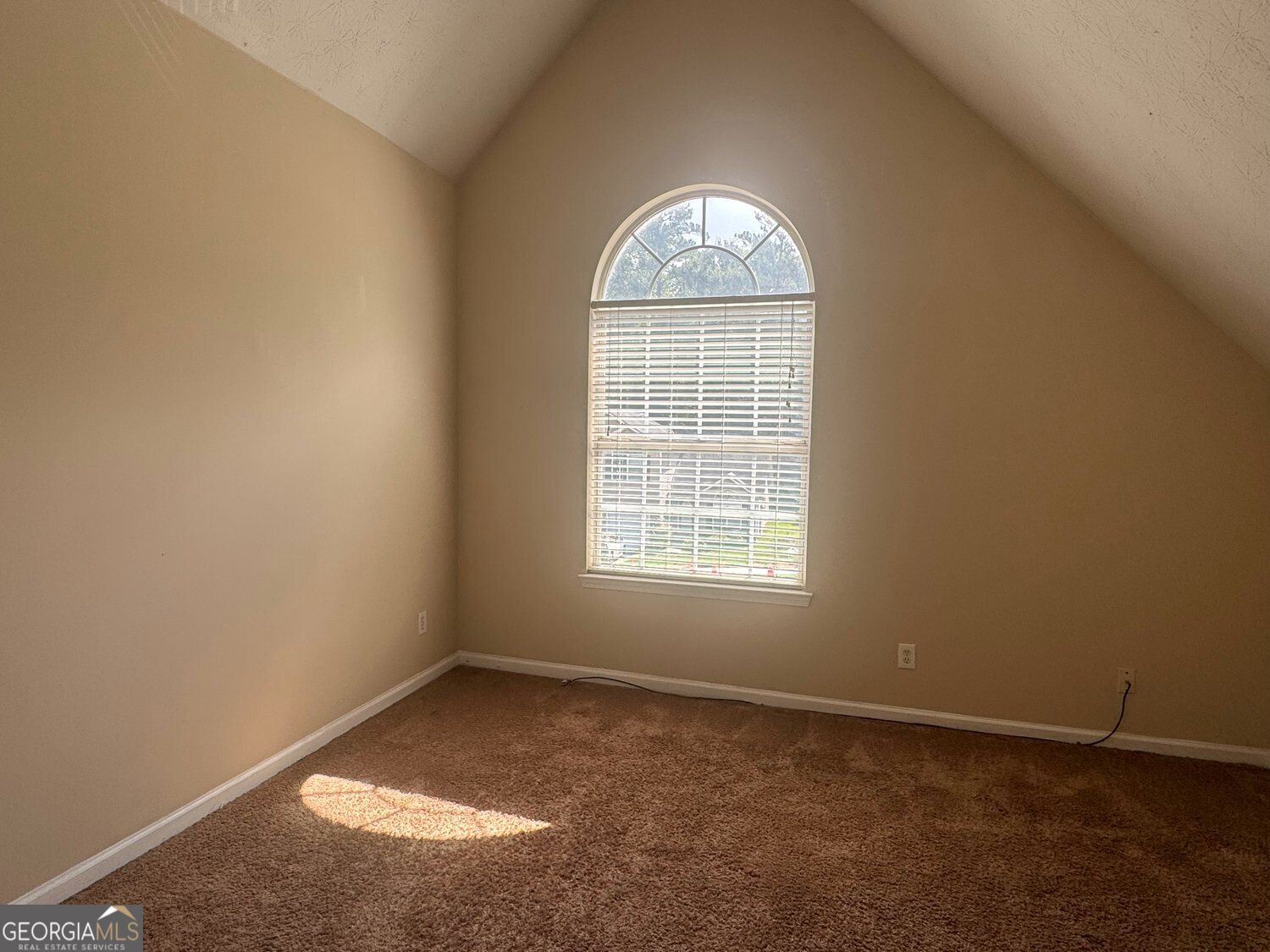 3229 Diamond Bluff Property Photo 14