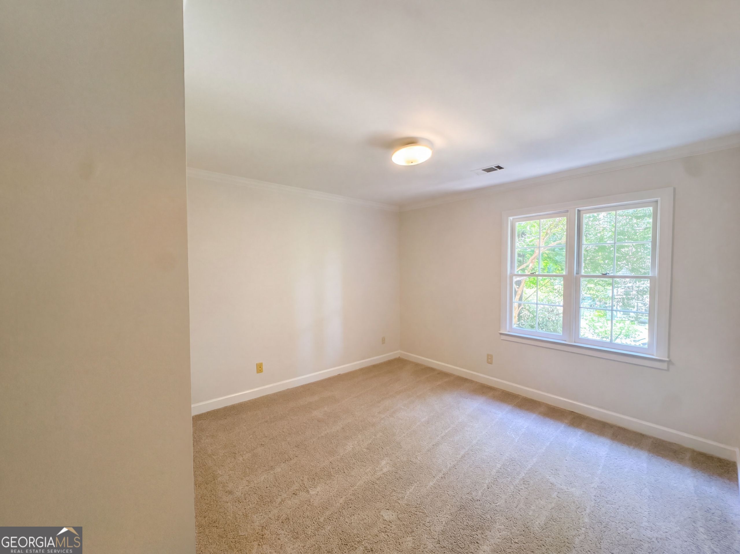 305 Old Tree Trc Property Photo 20