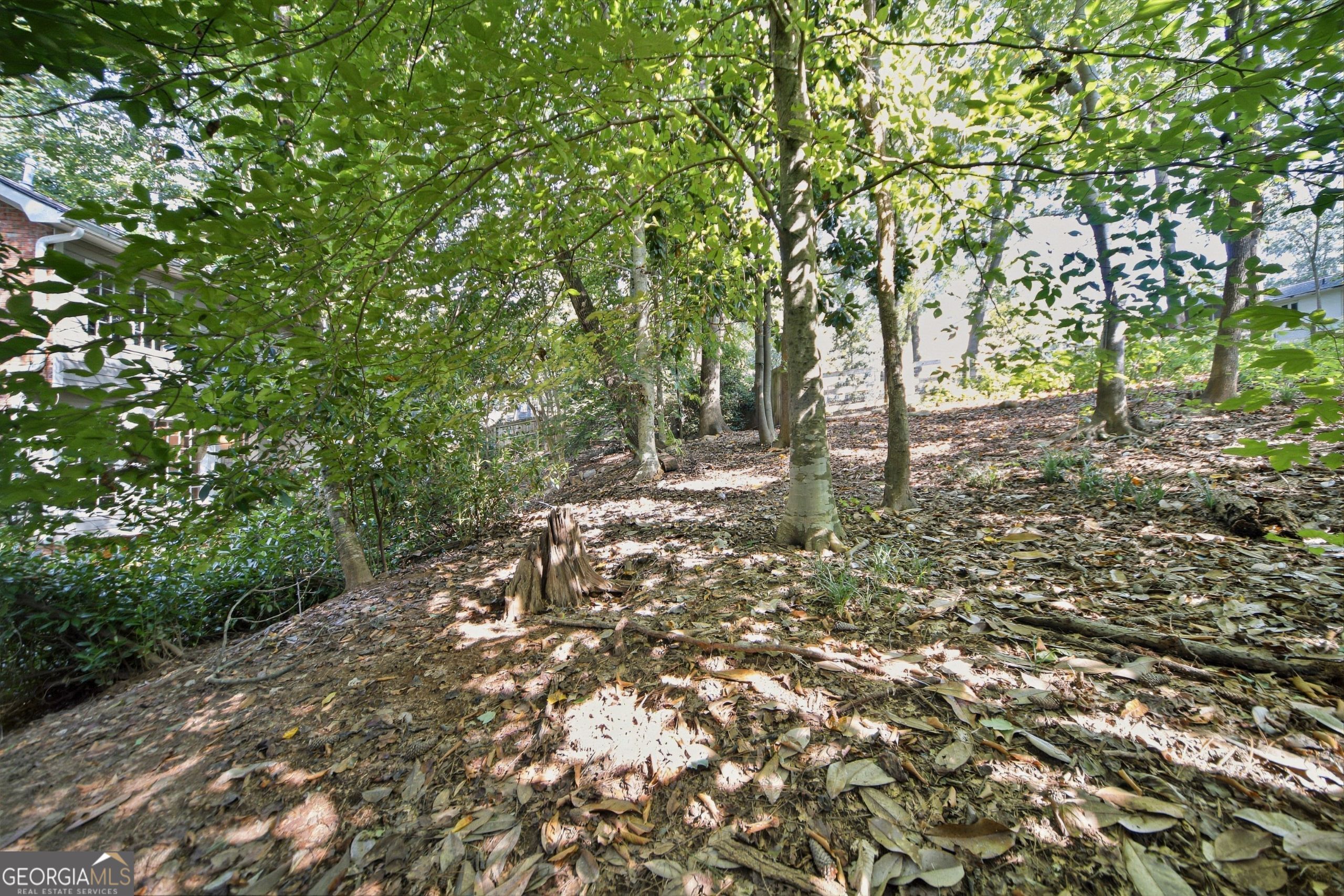 305 Old Tree Trc Property Photo 46