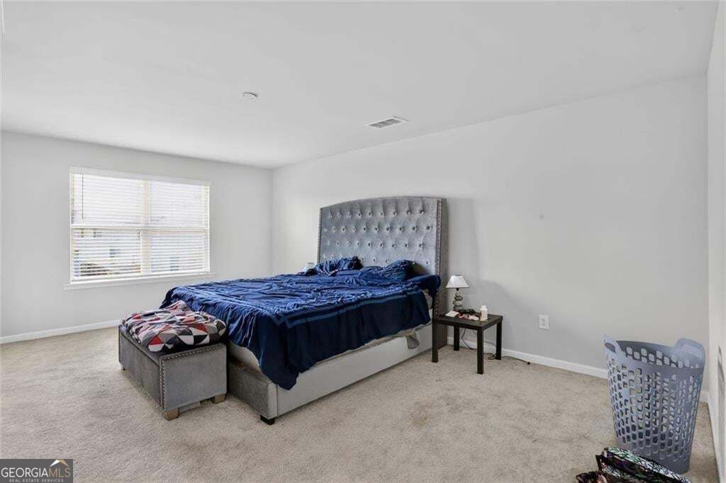 616 Blue Ash Court Property Photo 29