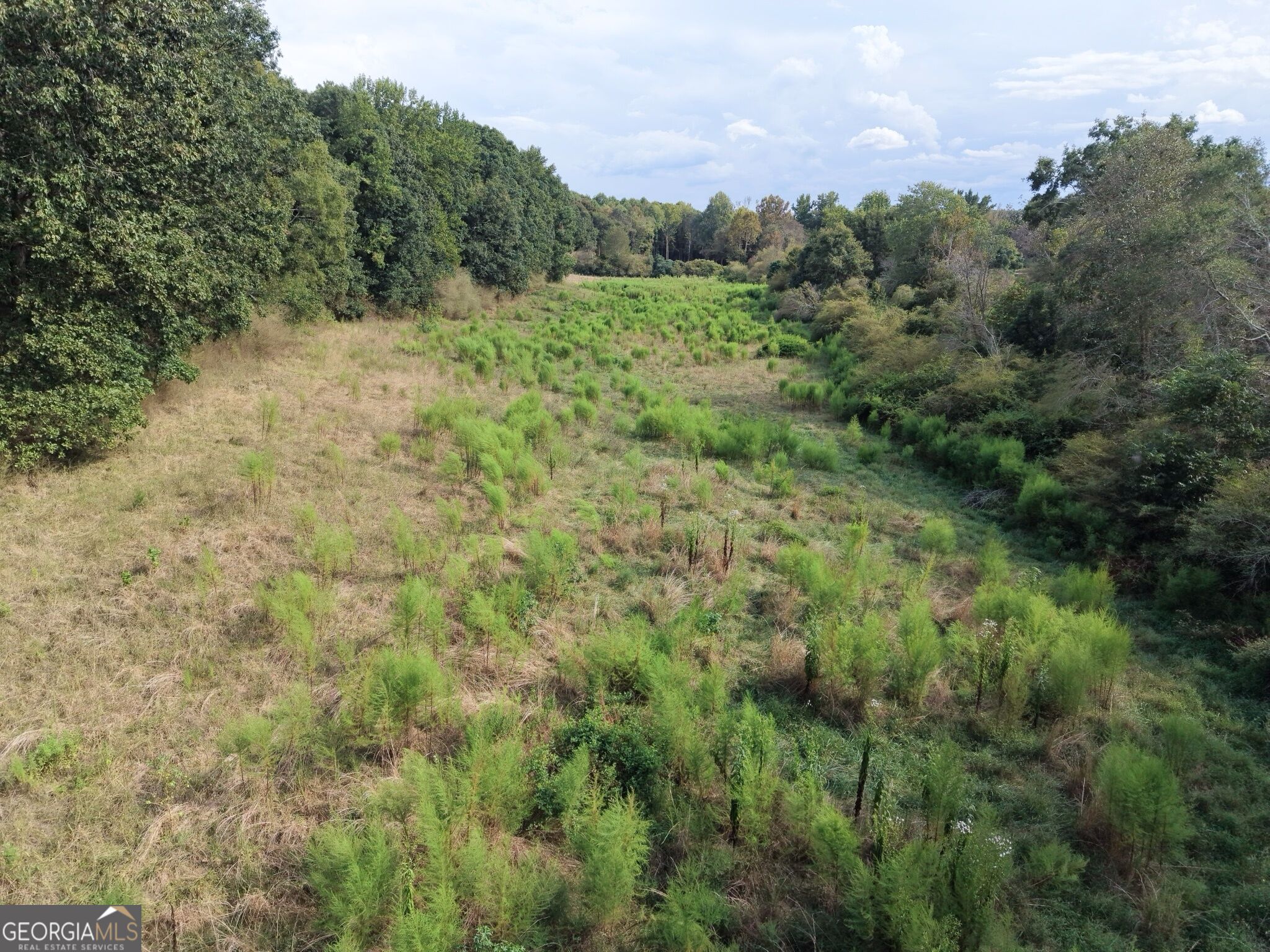 0 W L Williams Road Property Photo 13