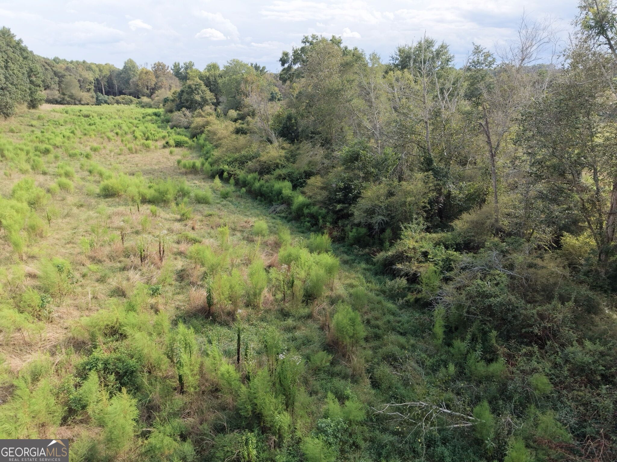 0 W L Williams Road Property Photo 15