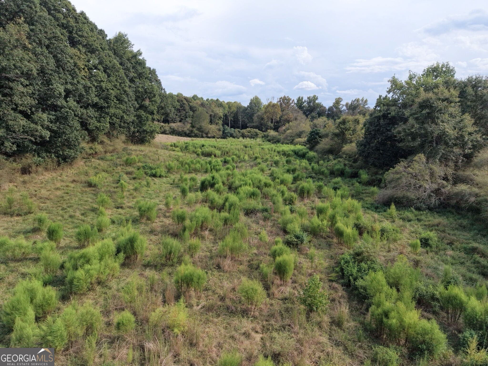 0 W L Williams Road Property Photo 17