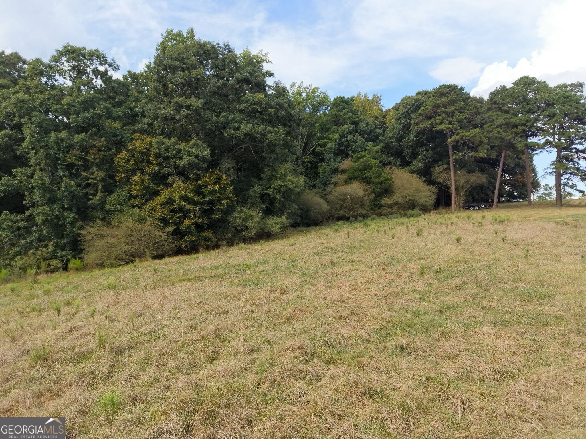 0 W L Williams Road Property Photo 22