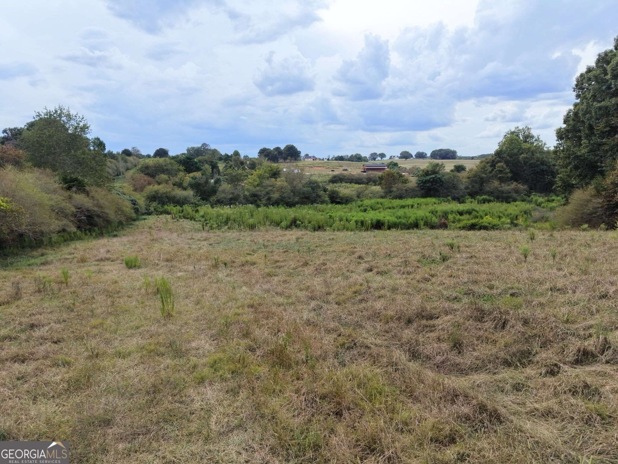 0 W L Williams Road Property Photo 25