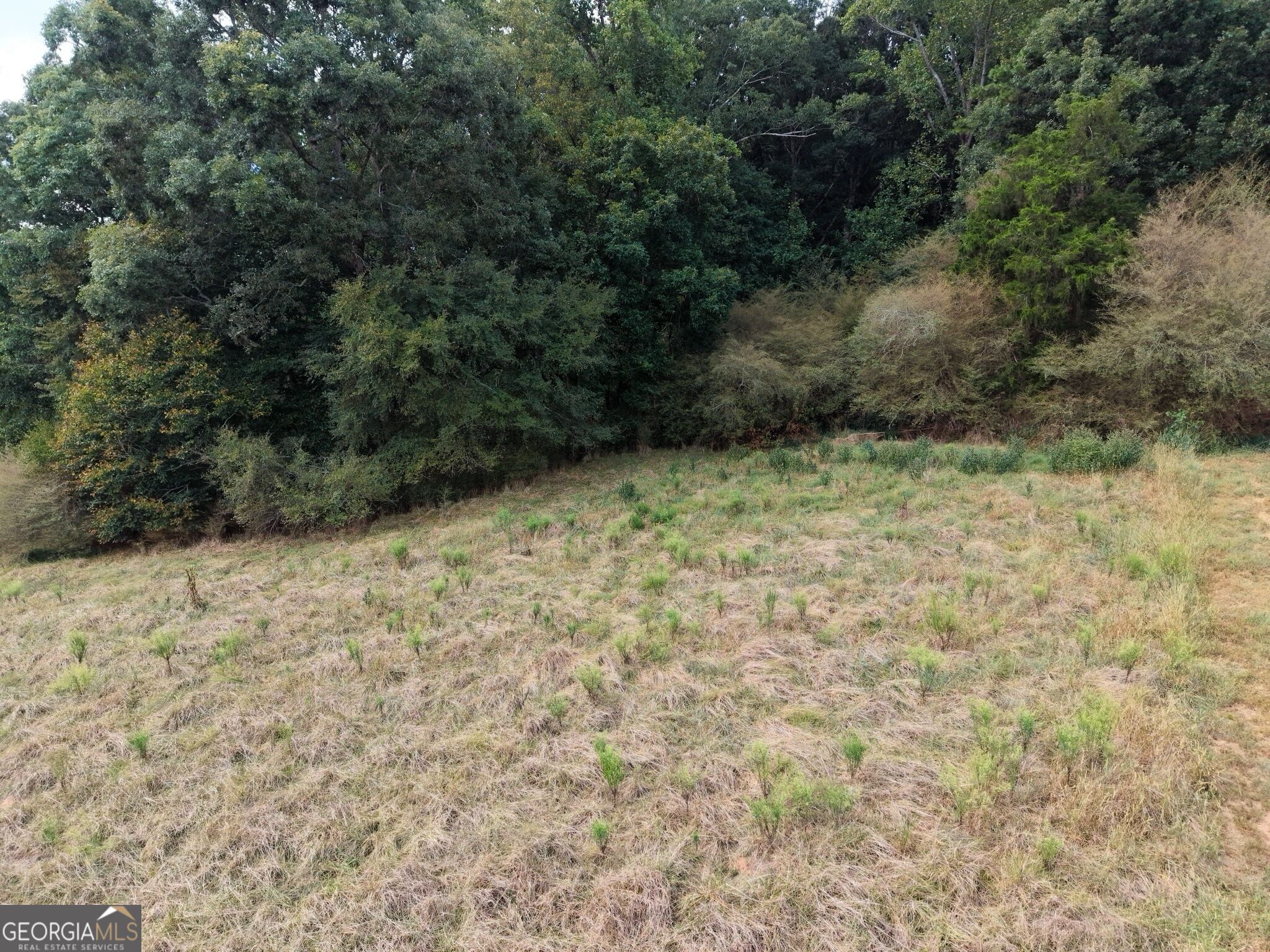 0 W L Williams Road Property Photo 28