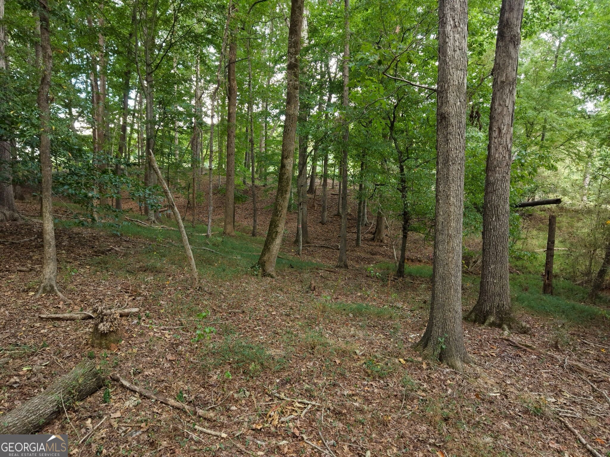 0 W L Williams Road Property Photo 32