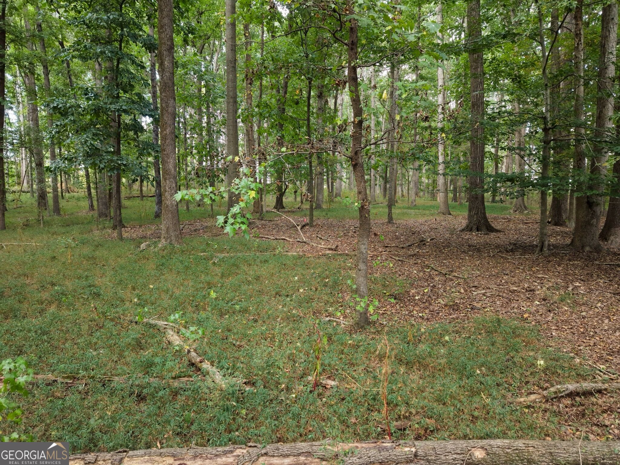 0 W L Williams Road Property Photo 33
