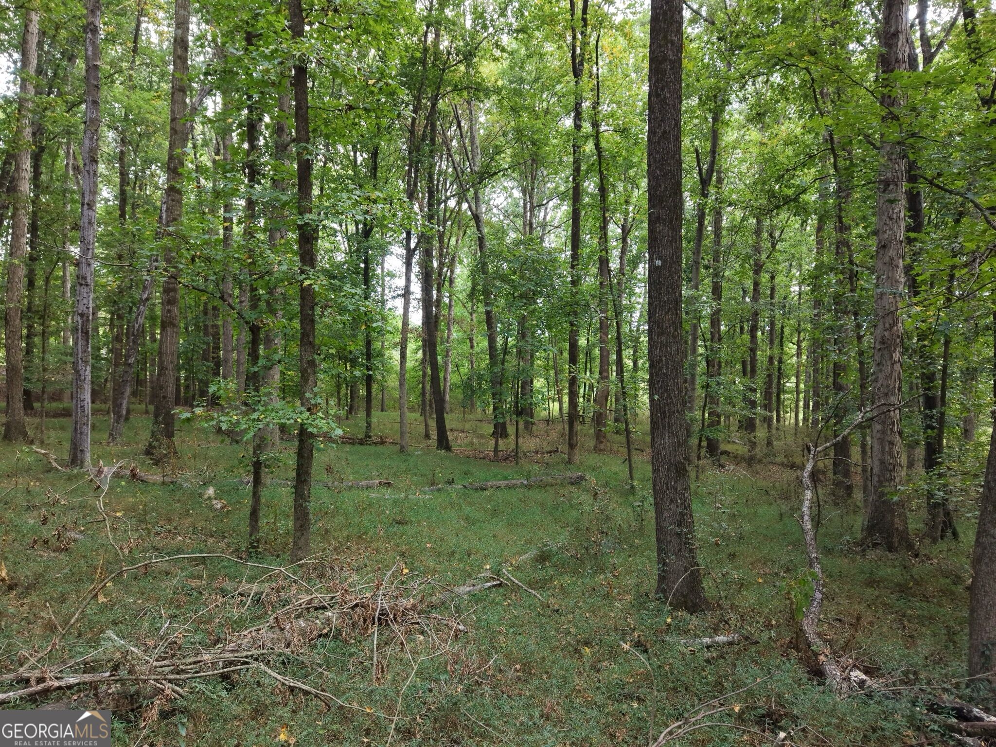 0 W L Williams Road Property Photo 46