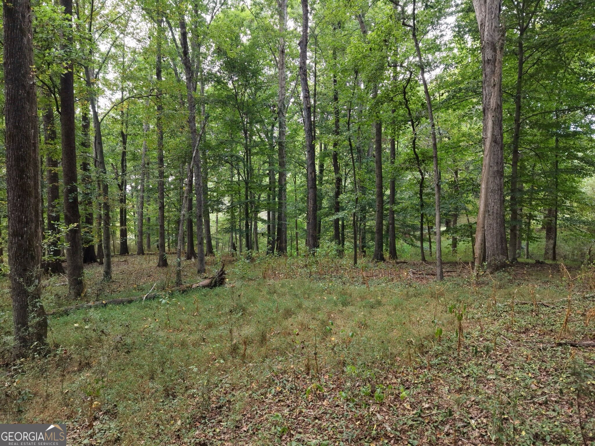 0 W L Williams Road Property Photo 48