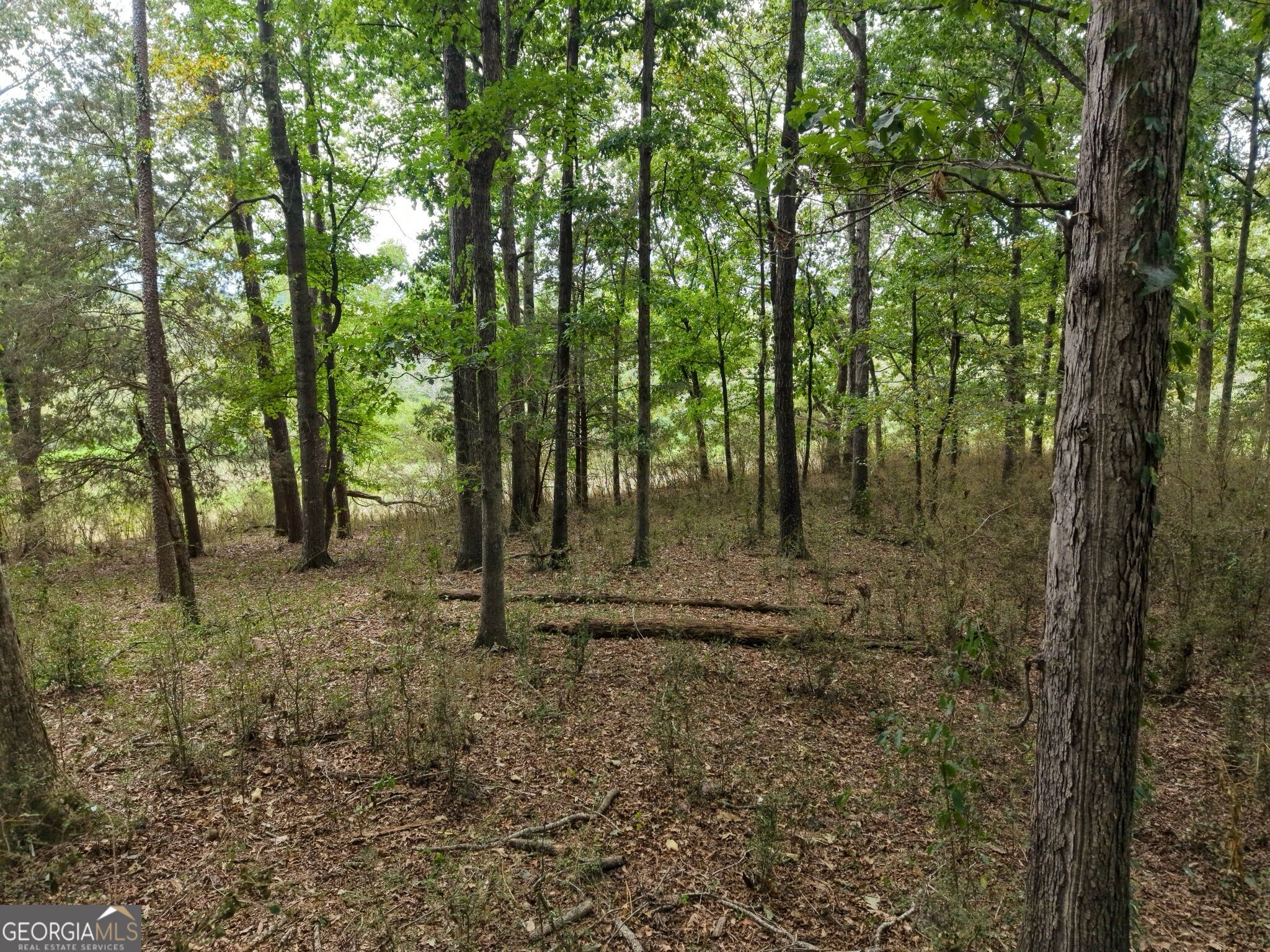 0 W L Williams Road Property Photo 58