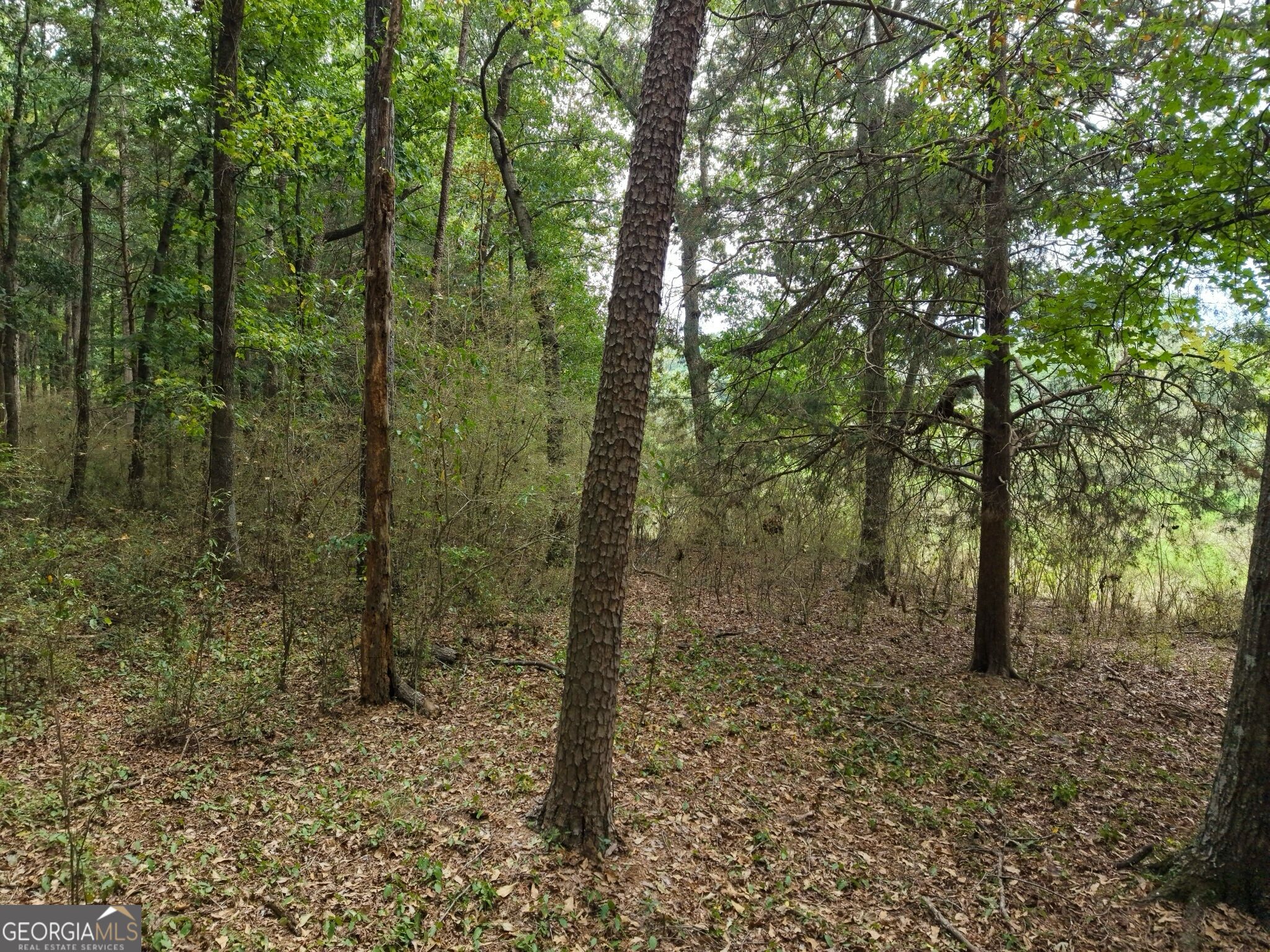 0 W L Williams Road Property Photo 59