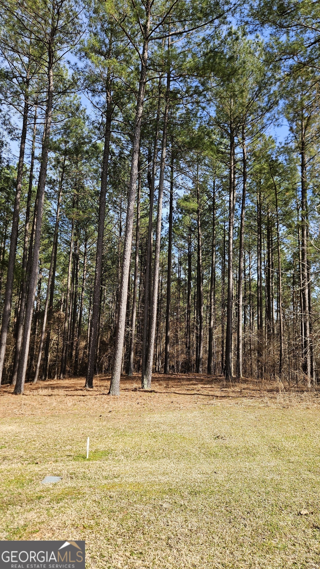 1121 Apalachee Meadows Drive Property Photo 1