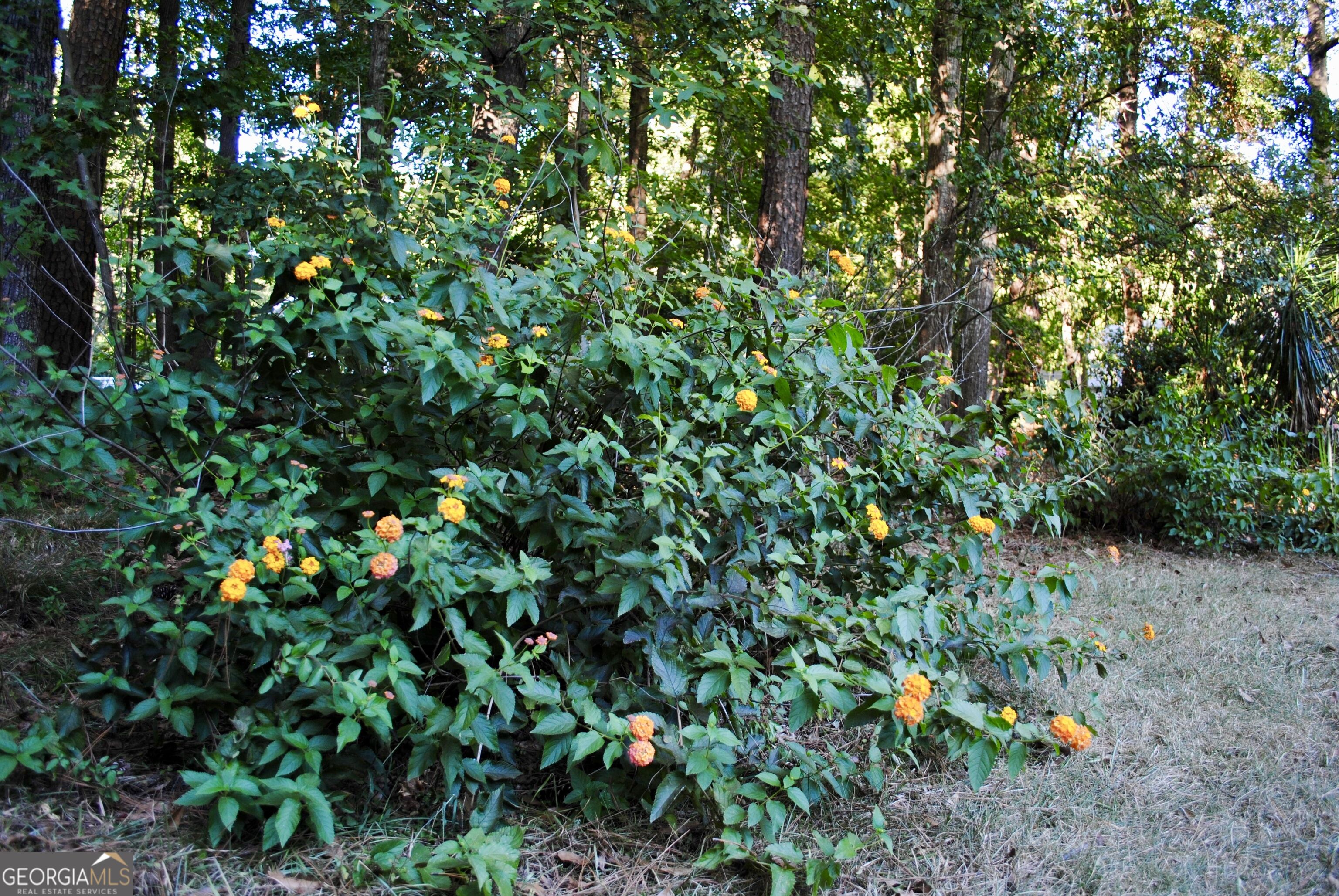 30 Tall Oak Trail Property Photo 69