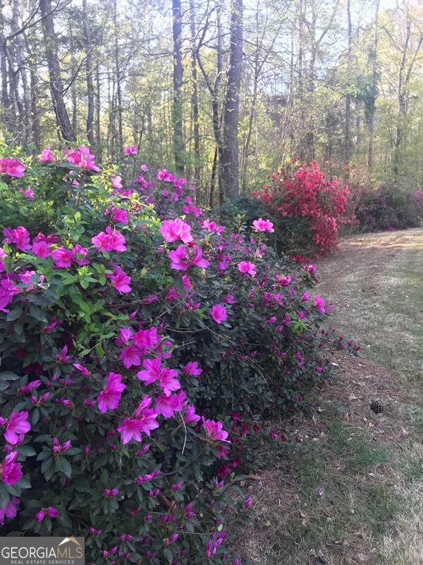 30 Tall Oak Trail Property Photo 81