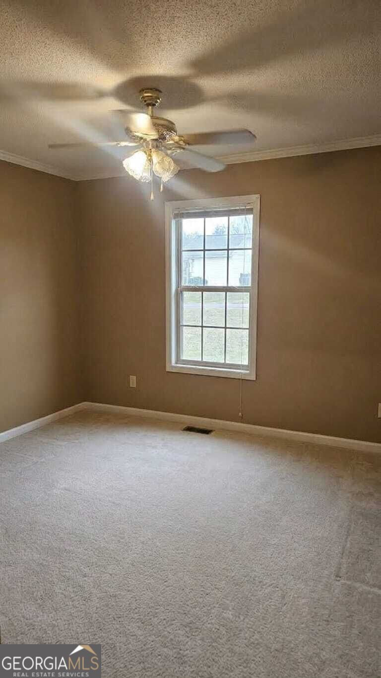 4384 Chestnut Oaks Trace Property Photo 20