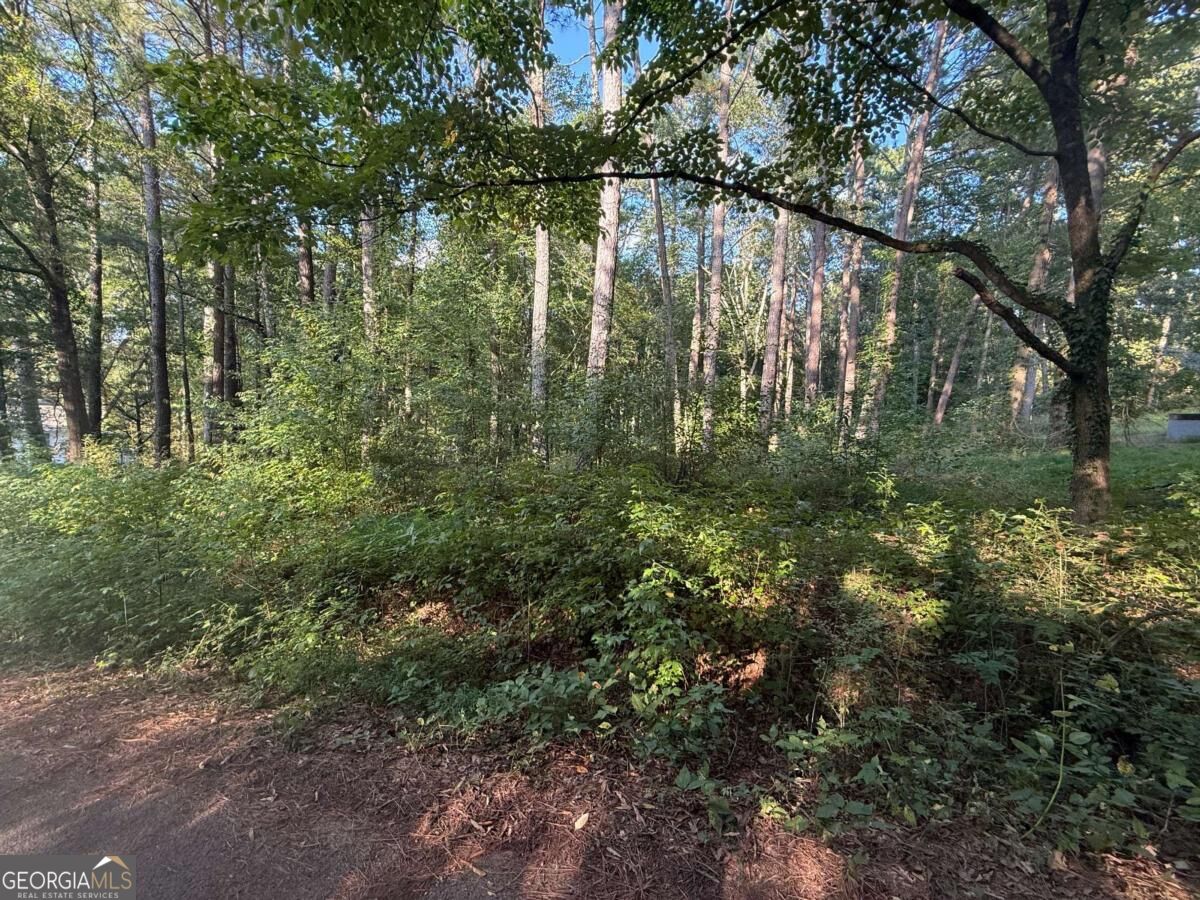 88 Grogan Hill Road Se Property Photo 2