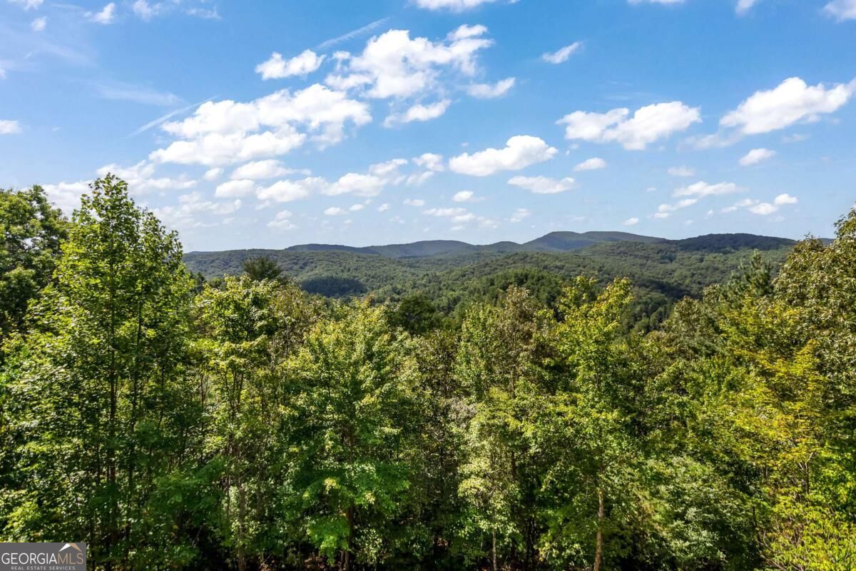 671 Stover Knob Trail Property Photo 67