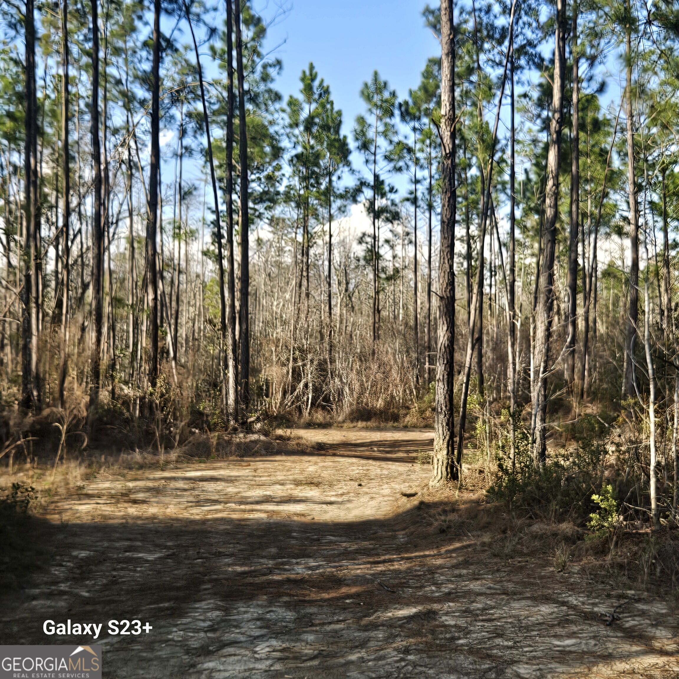 0 Mill Branch Club Road Lot 1m Property Photo 1