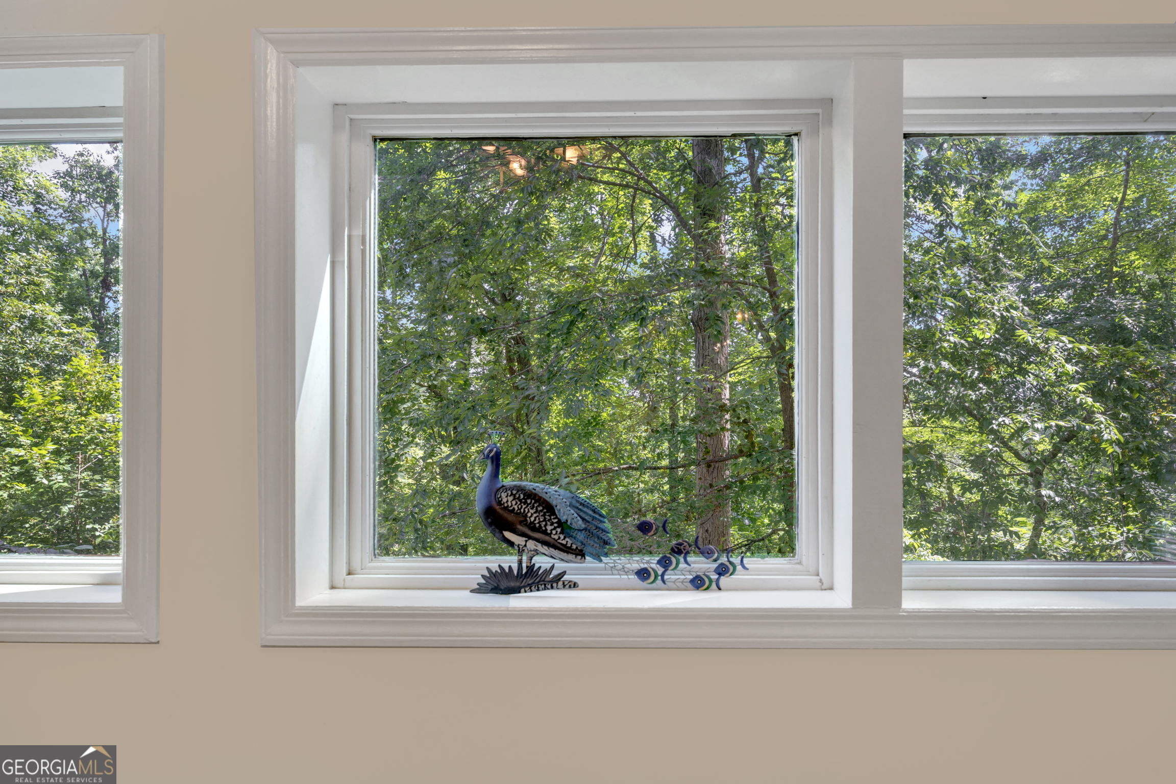 177 Nighthawk Court Property Photo 48