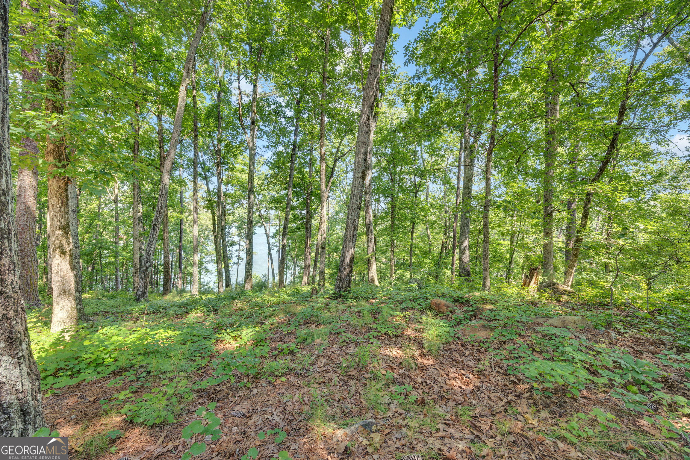 177 Nighthawk Court Property Photo 55