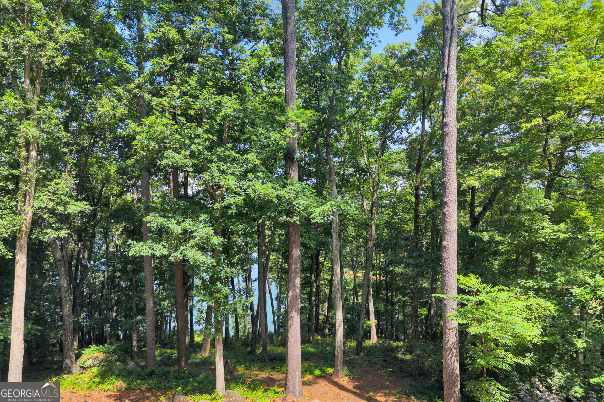 177 Nighthawk Court Property Photo 67