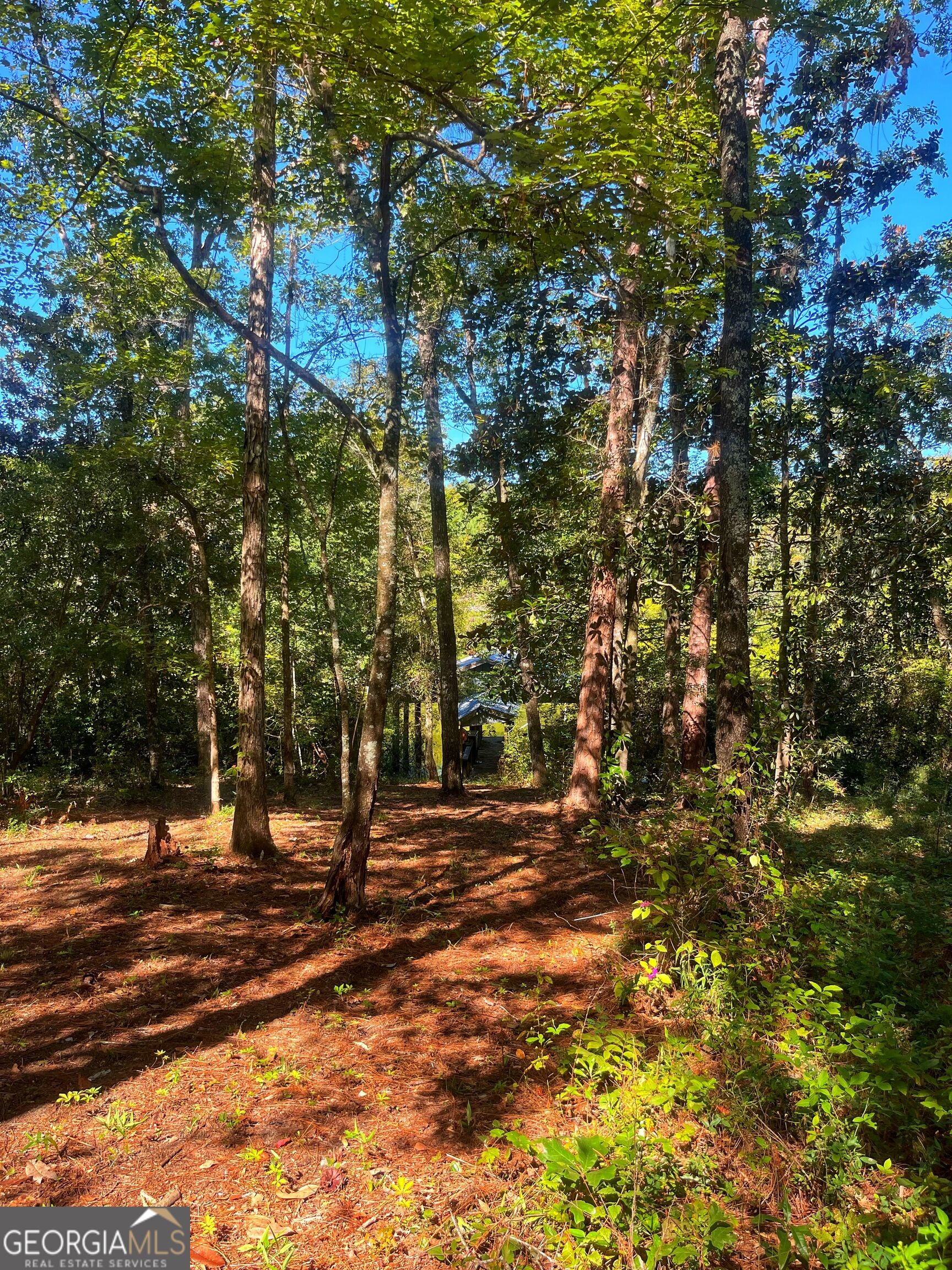 490 Murray Road Property Photo 16