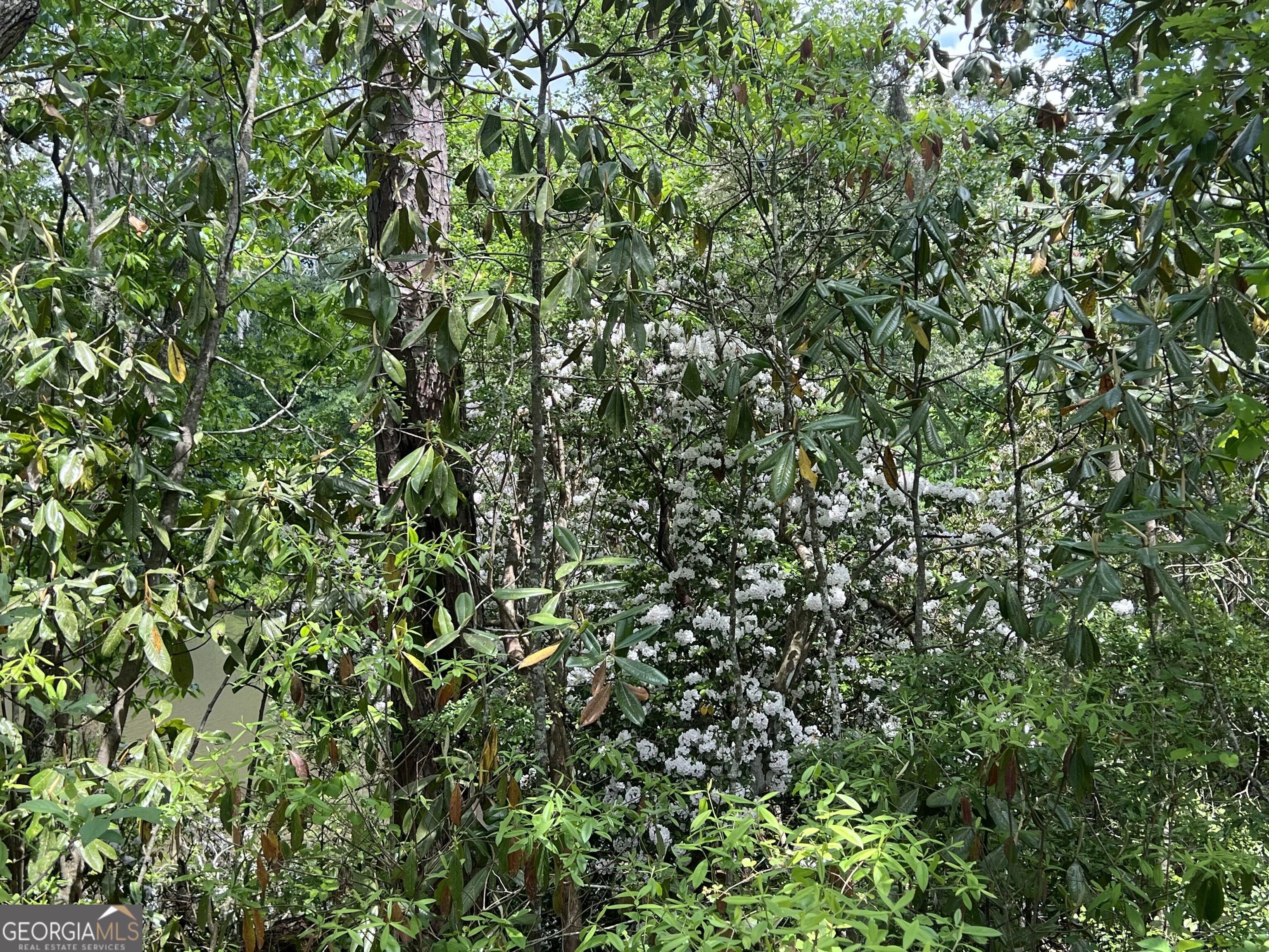 490 Murray Road Property Photo 50
