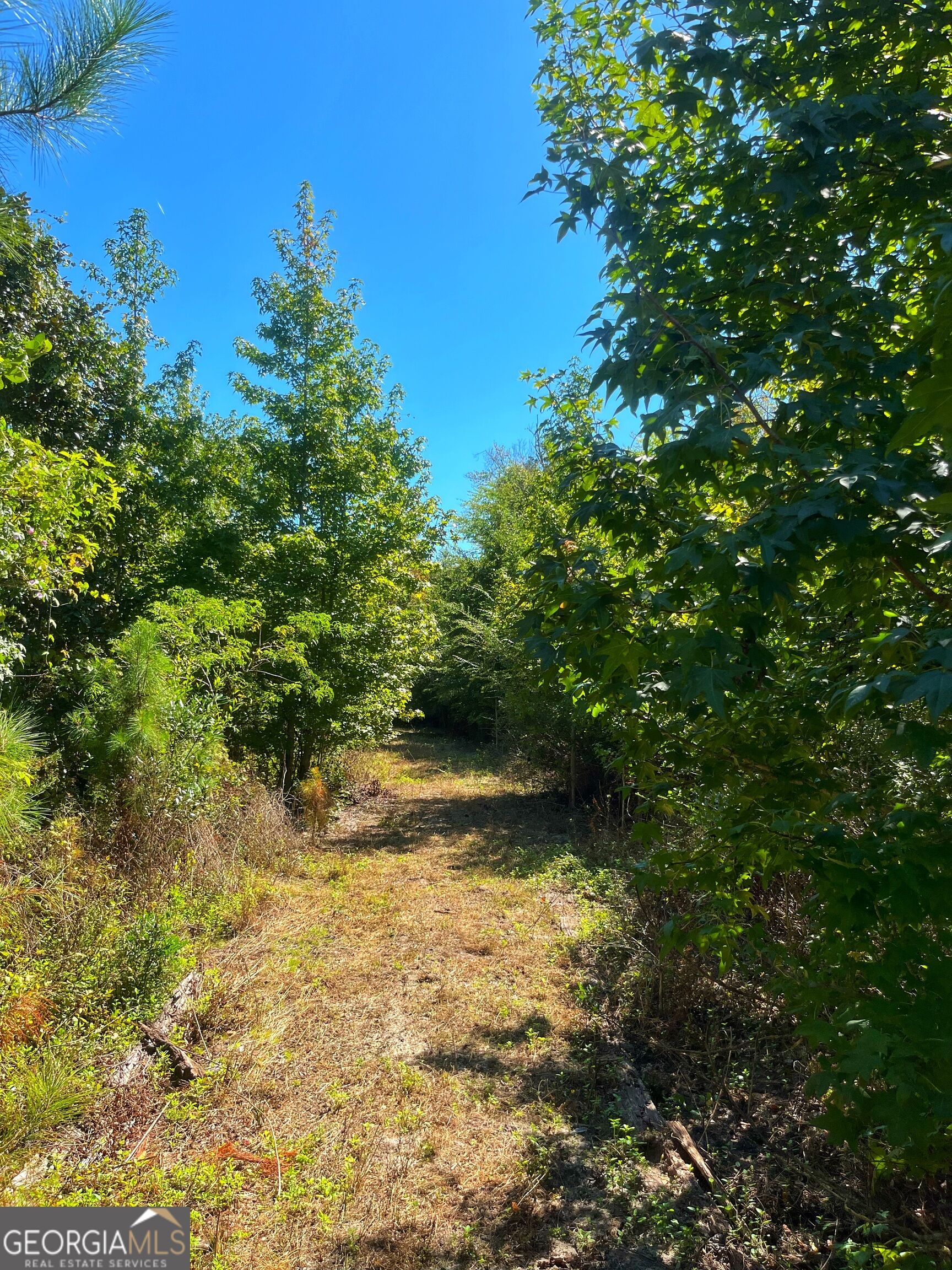 490 Murray Road Property Photo 59