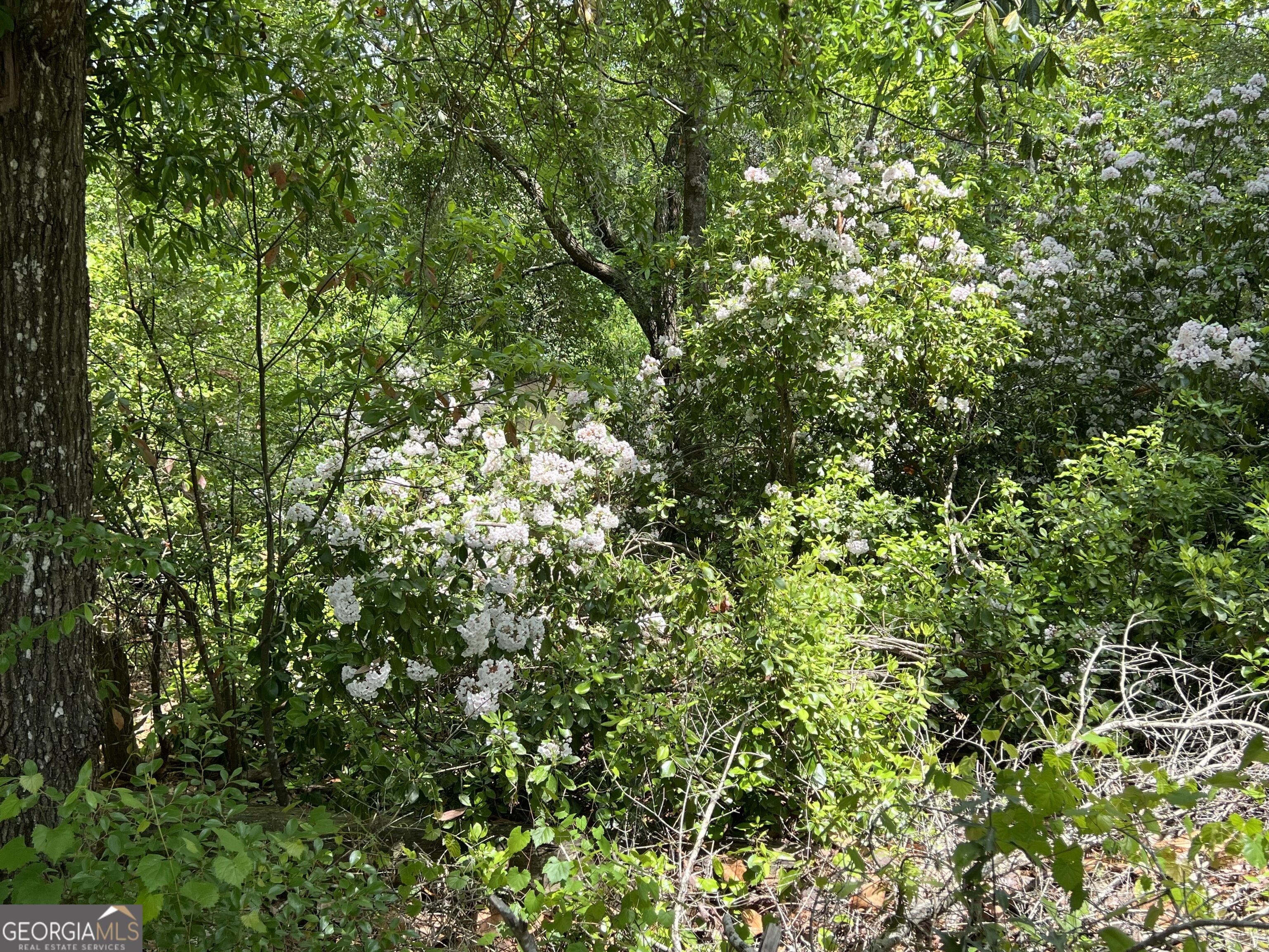490 Murray Road Property Photo 62