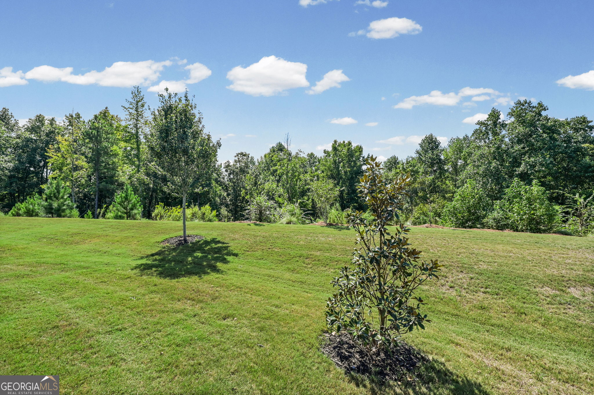 156 Alcovy Ct Property Photo 38