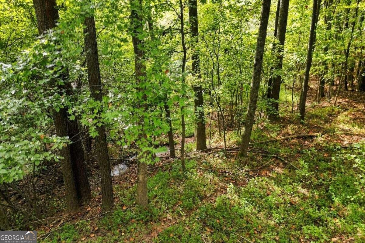 115 Redleaf Court Property Photo 45