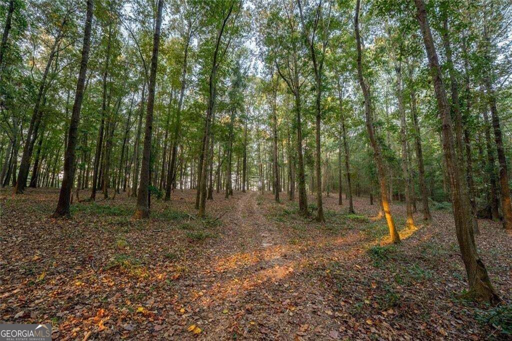 195 Sims Farm Way Property Photo 88