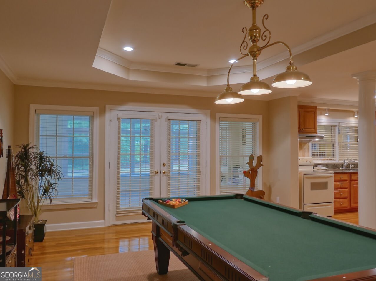 117 Congressional Court Property Photo 43
