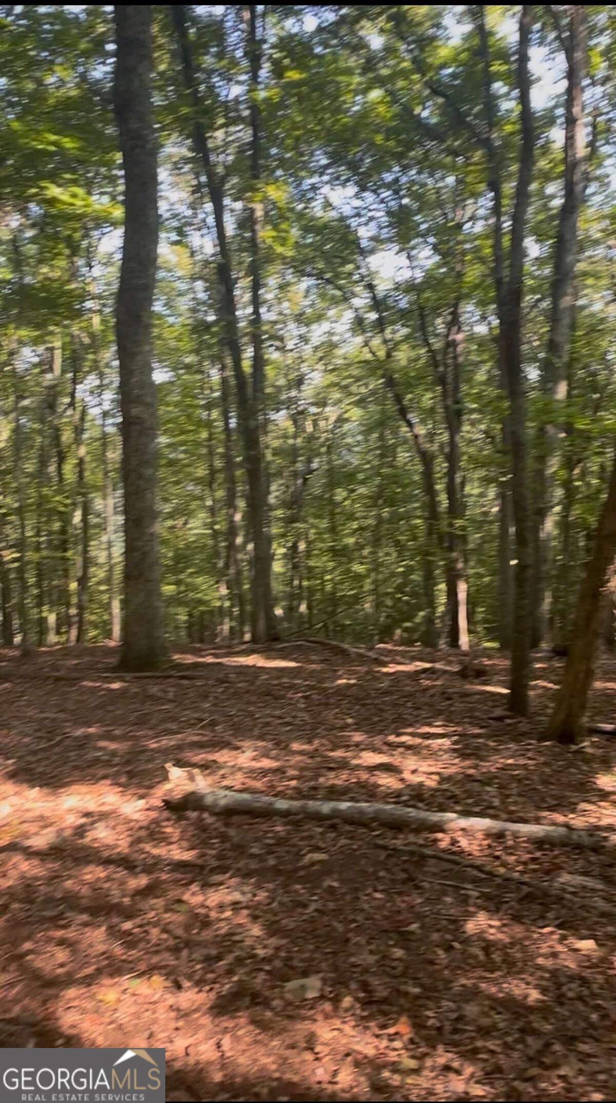 0 Brooks Ridge Road
