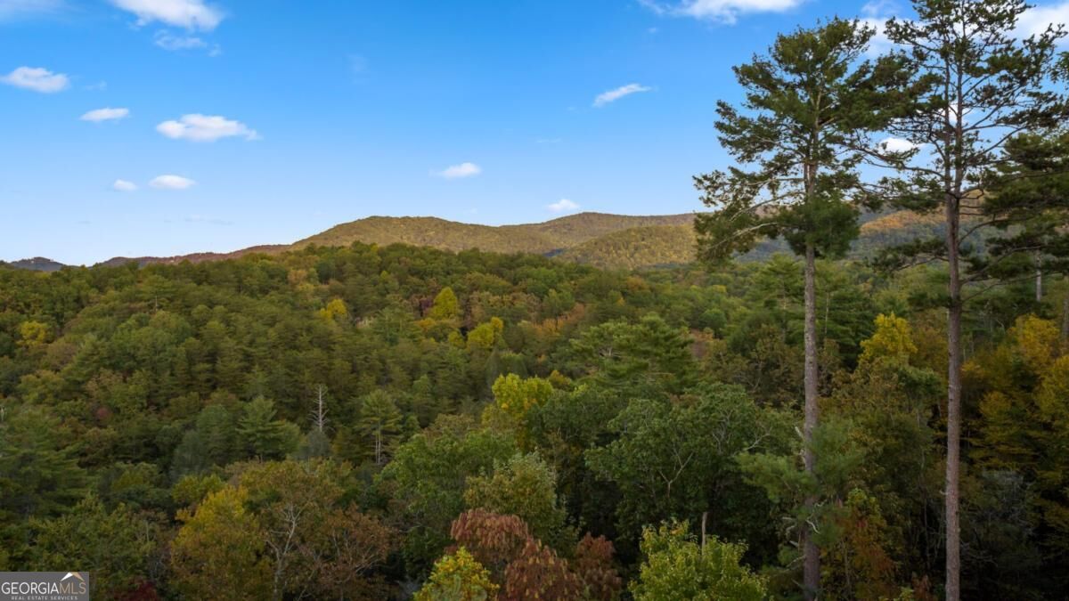 709 Laurel Creek Trail Property Photo 6