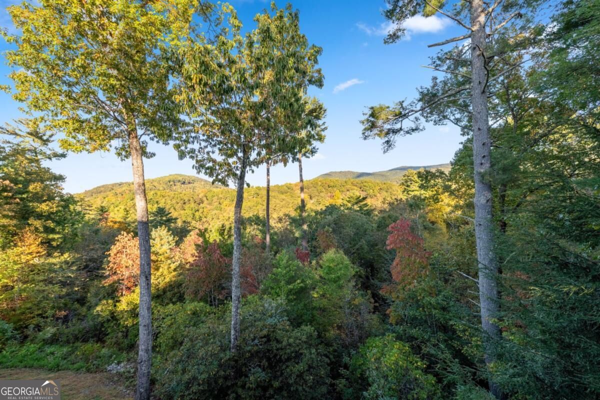 709 Laurel Creek Trail Property Photo 19
