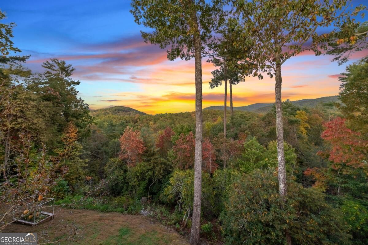 709 Laurel Creek Trail Property Photo 39