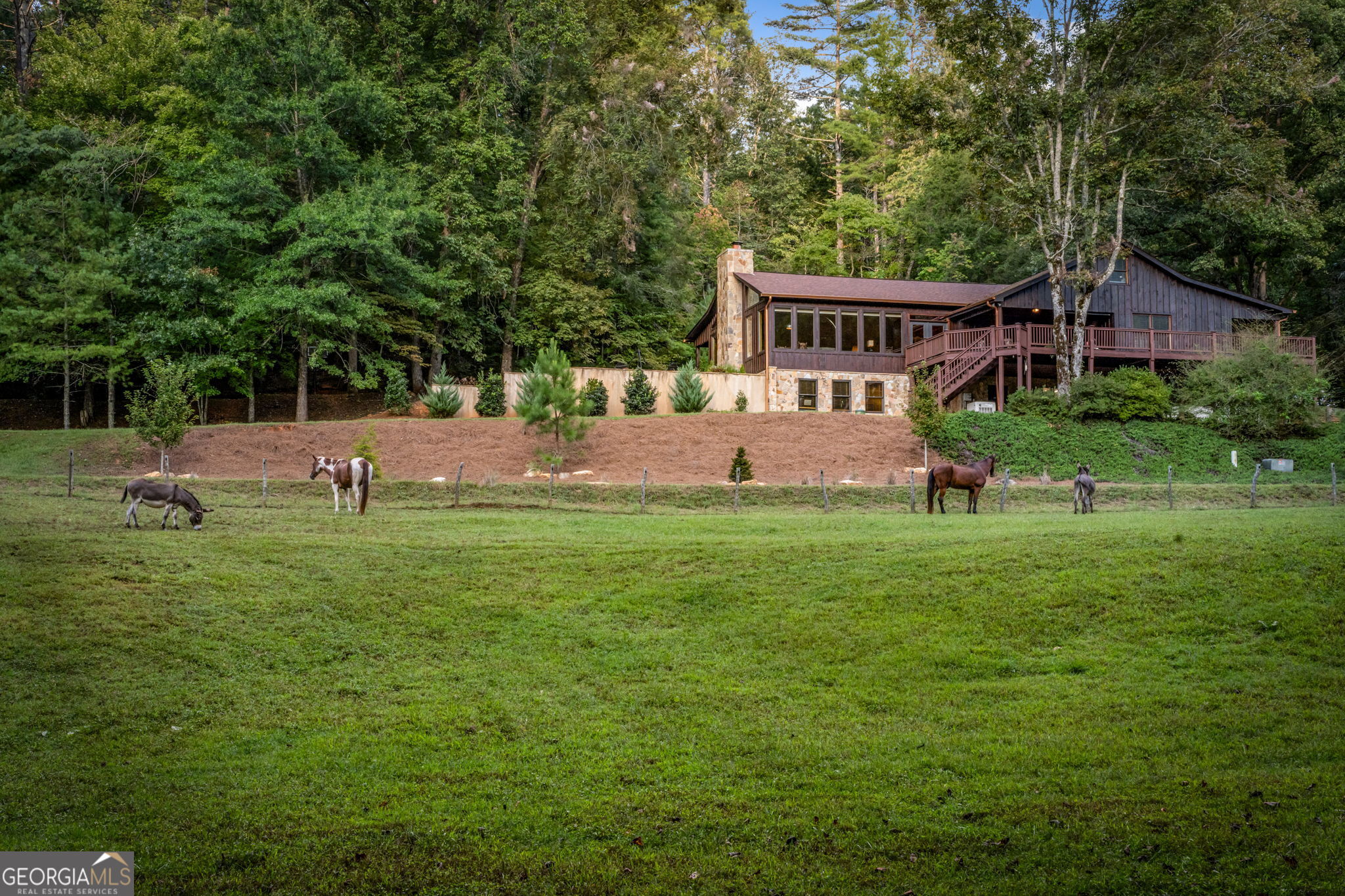 361 Forest Service Road Property Photo 45