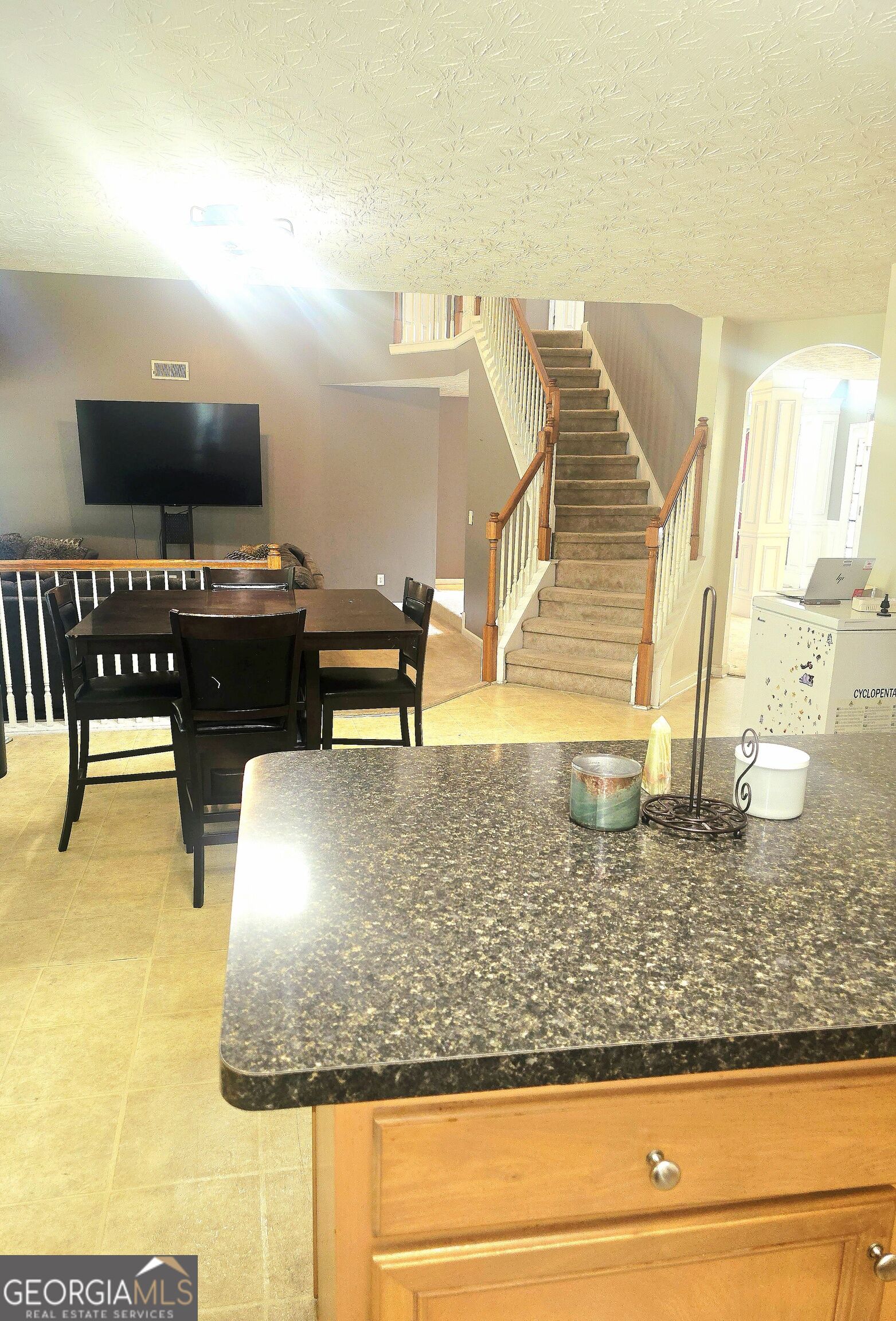 212 Hightower Trail Property Photo 19