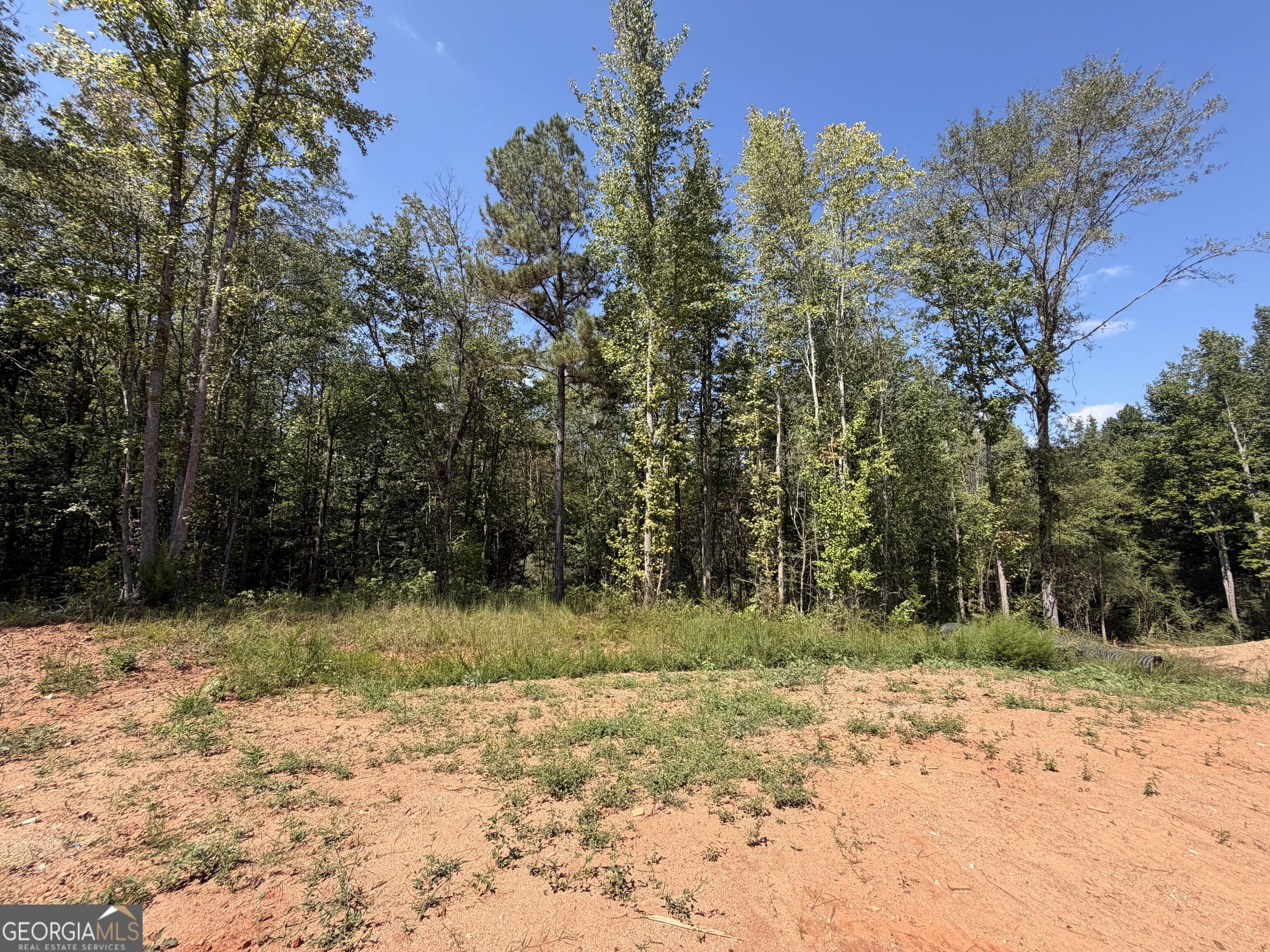1736 Armstrong Mill Road Property Photo 13