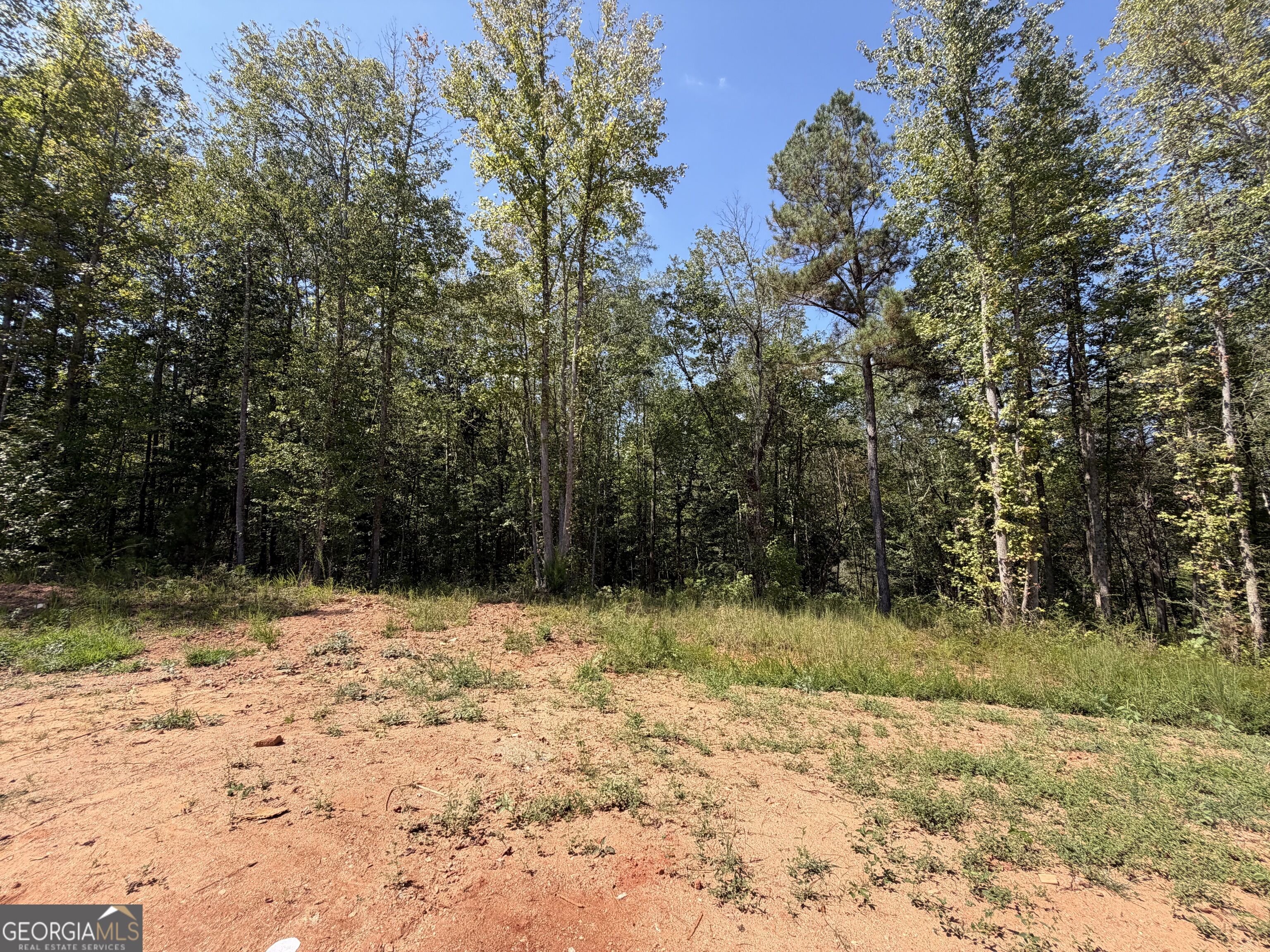 1736 Armstrong Mill Road Property Photo 14