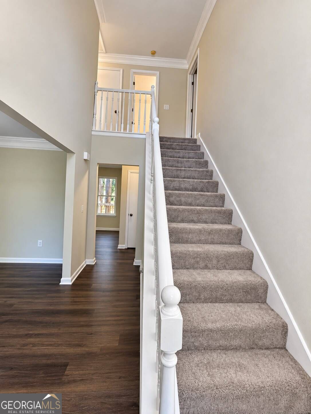 3801 Brittan Glade Trail Property Photo 6
